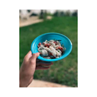 a person holding a blue plate with food in it
