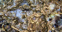 a close up of a rock with a lot of sand on it